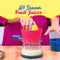 All Season Fruit Juicer (FJ20)