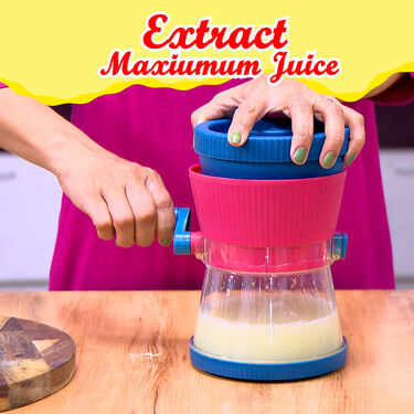 All Season Fruit Juicer (FJ20)