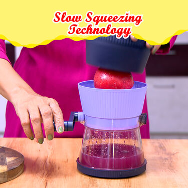 All Season Fruit Juicer (FJ20)