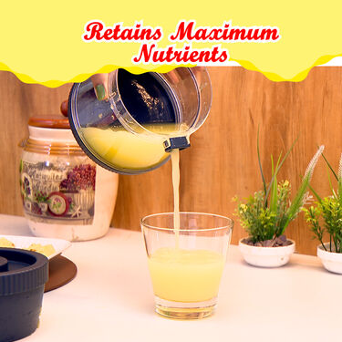 All Season Fruit Juicer (FJ20)