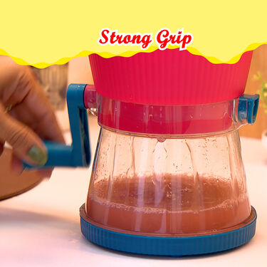 All Season Fruit Juicer (FJ20)