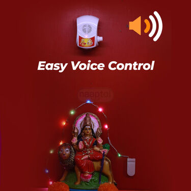 35 In 1 Mantra With Mandir Decorative light (MD14)