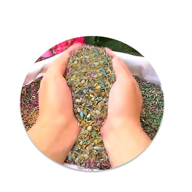 Pack Of Mix Flower Seeds (PFS100)