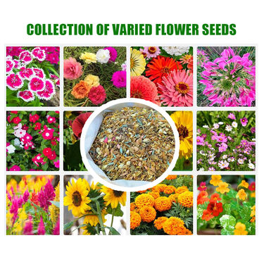 Pack Of Mix Flower Seeds (PFS100)