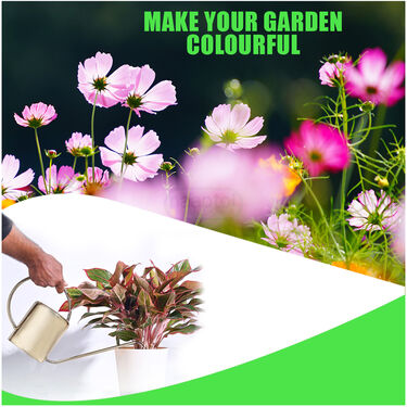 Pack Of Mix Flower Seeds (PFS100)